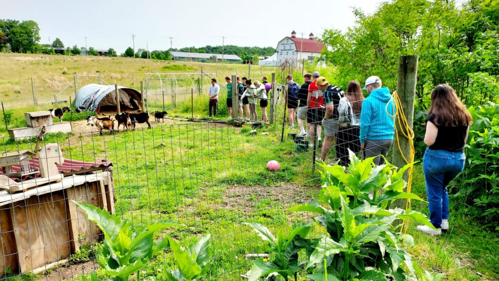 High-Performance Building Program students visit the goat field at Chatham Eden Hall campus