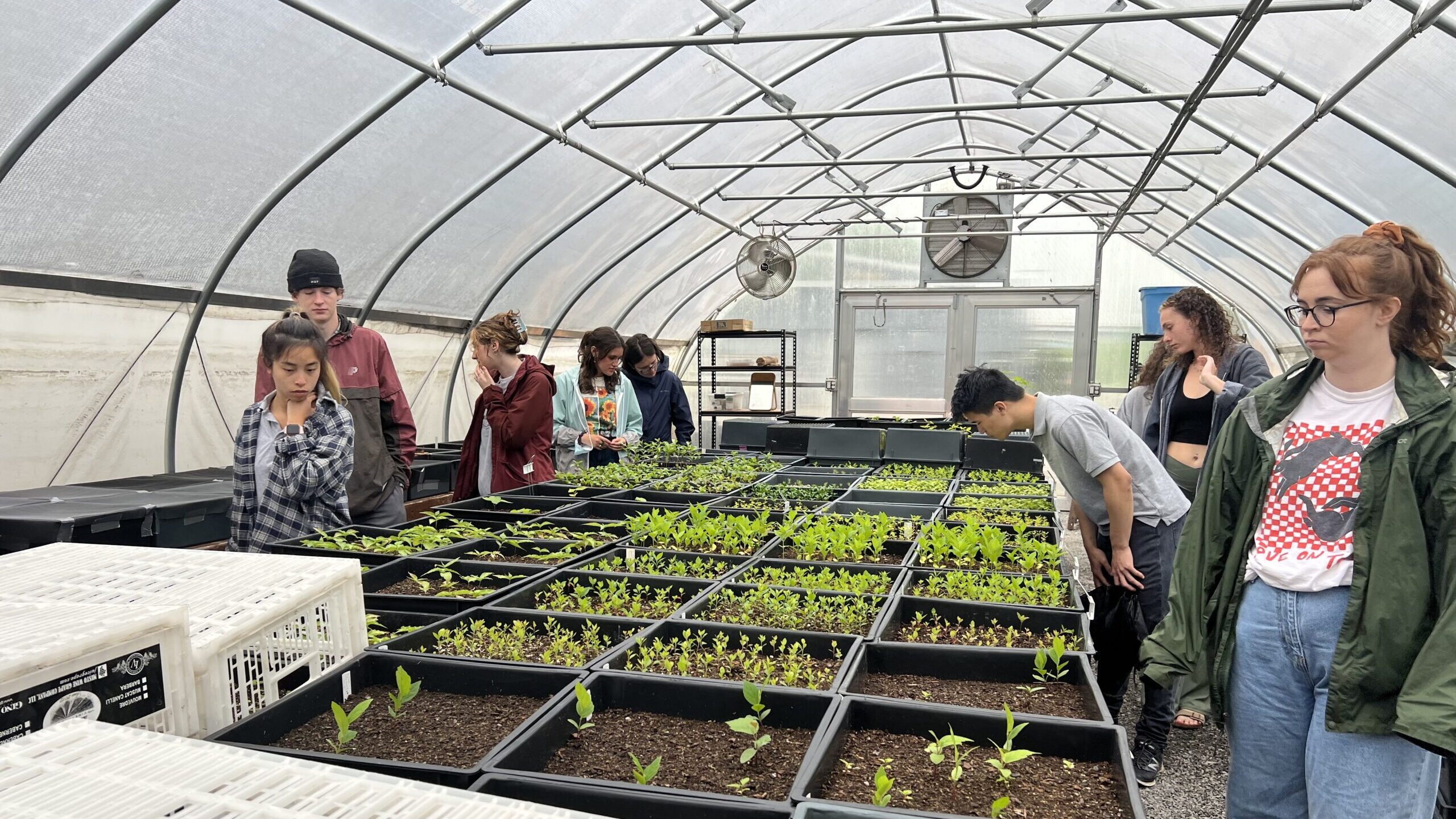 Students in a greenhouse.