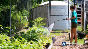 Julia watering plants at Tree Pittsburgh