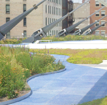 Close up of a green roof in a city