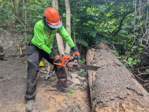 A Landforce crew member uses a chain saw to help improve the Seldom Seen greenway. Photo courtesy of Landforce.