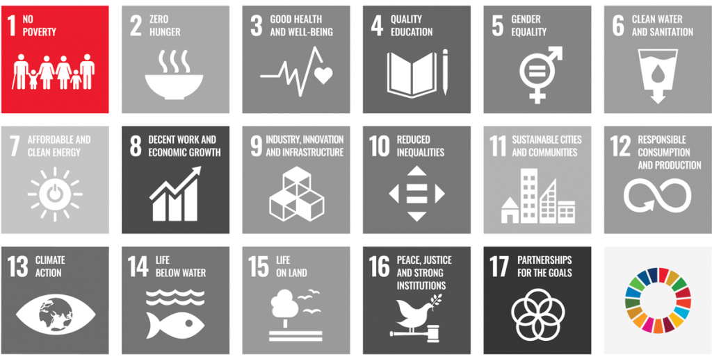 Infographic highlighting the first UN Sustainable Development Goal: No Poverty
