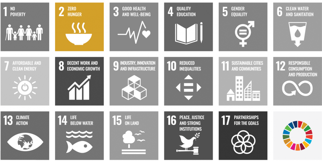 Infographic highlighting the second UN Sustainable Development Goal: Zero Hunger